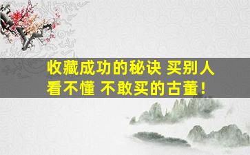 收藏成功的秘诀 买别人看不懂 不敢买的古董！